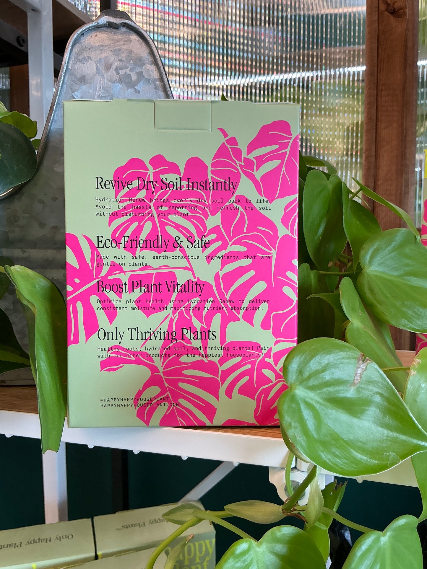 Happy Happy Houseplant: Hydration Renew