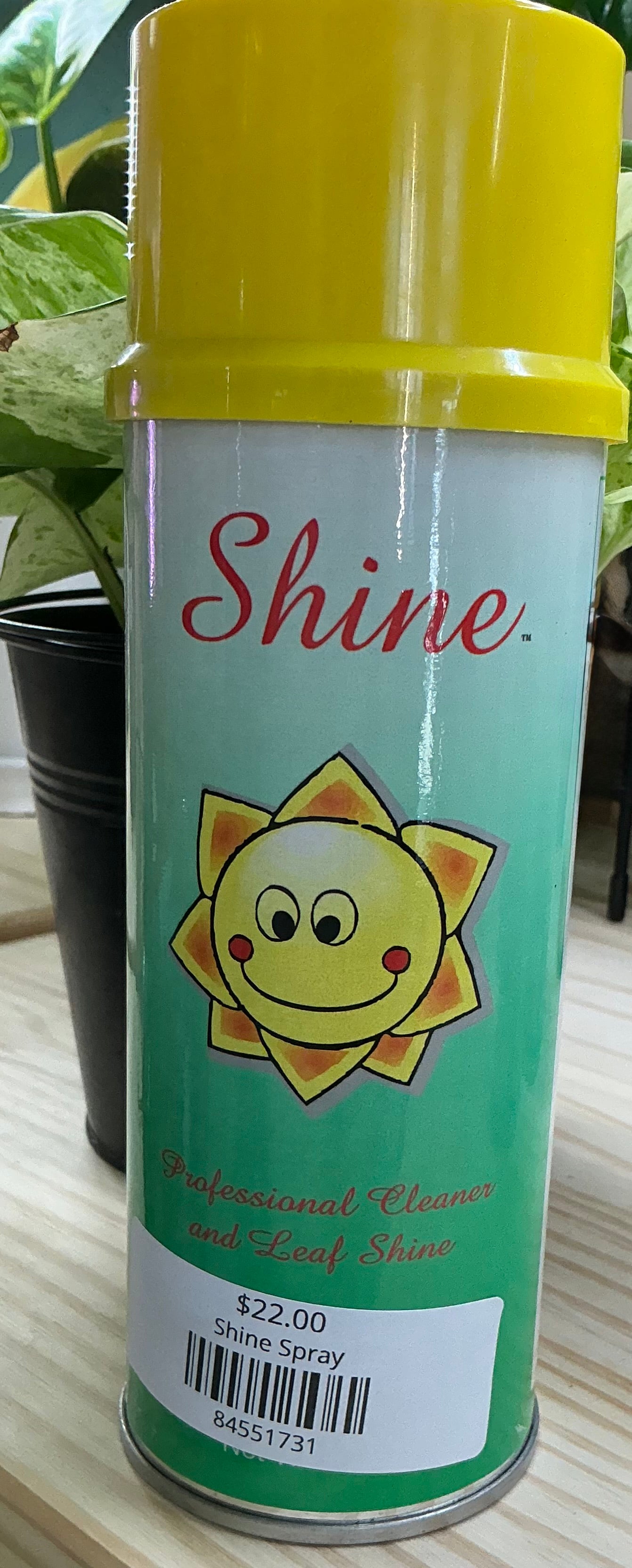 Shine Spray