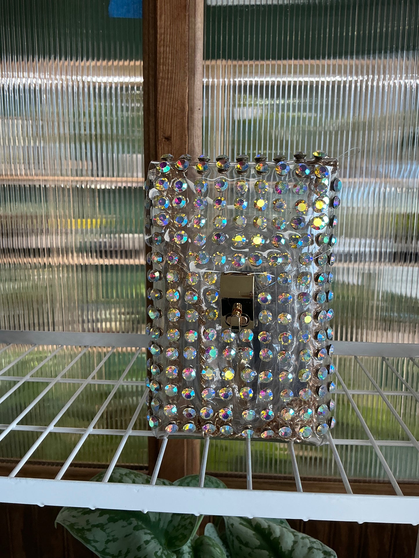Crystal Purse