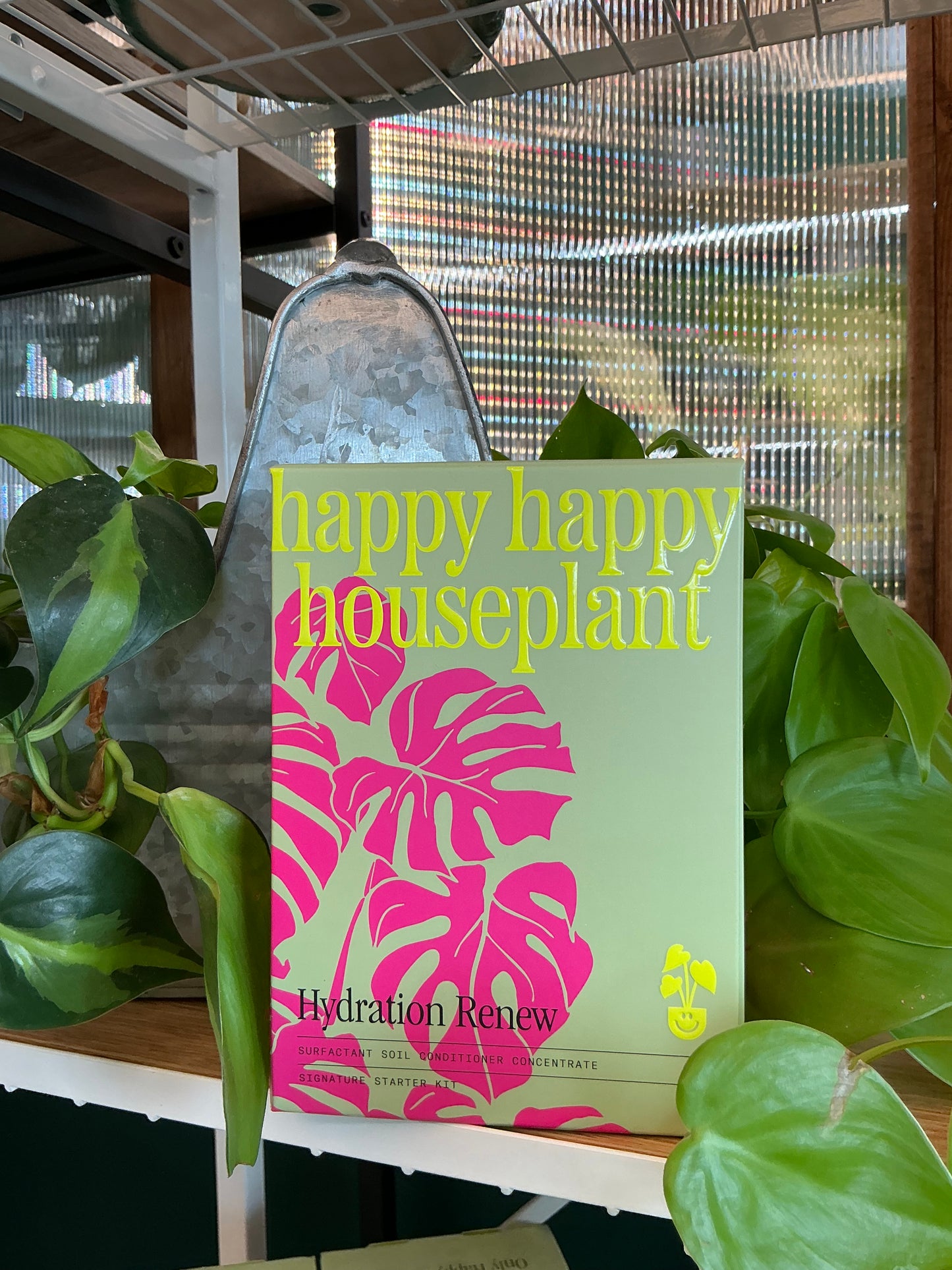 Happy Happy Houseplant: Hydration Renew