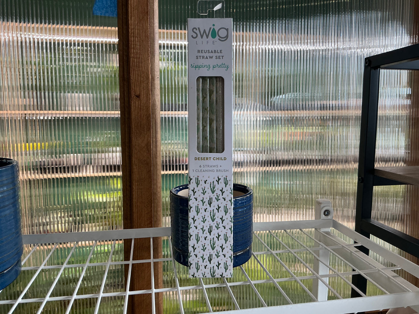Swig Reusable Straw 6 Pack